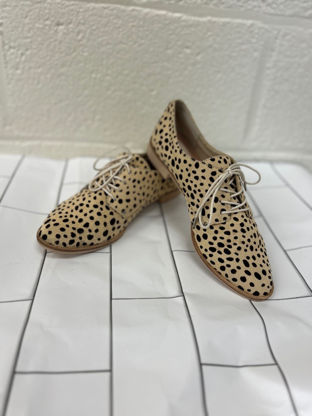 DOLCE VITA Kyle cheetah print calf hair lace up oxford style loafers
